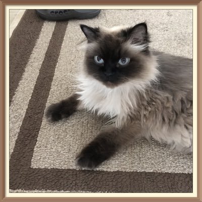 Erika9606939116's profile picture. believe in natural law, natural health and truth