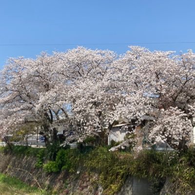 家族が一番/昭和生まれのジジイ/政治に関心あり/日本を守りたい/ 真実がすべて白日の元に晒される日を、ただただ願う。/信教の自由/無言フォローお許しください/DMお返し出来ません