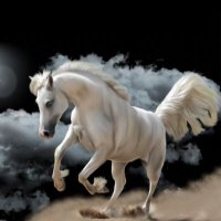 عطر الكلام .. (@b_r1444) 's Twitter Profile Photo عطر الكلام .. (@b_r1444) 's Twitter Profile Photo
