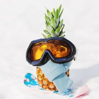 ybaypX's profile picture. 