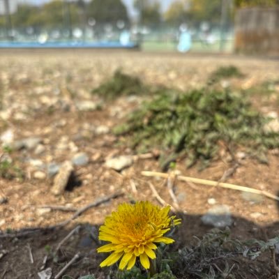 shshkeke2023's profile picture. 