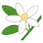 tree_tachibana's profile image