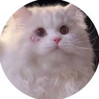 𝐬𝐮𝐠𝐚(しゅが) (@ita_s2_0704) Twitter profile photo