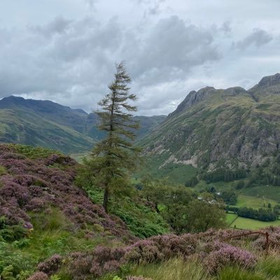 harryp567e's profile picture. 