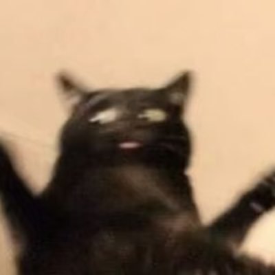 Polarmintstar's profile picture. 