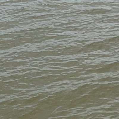 Jotap4033892381's profile picture. 