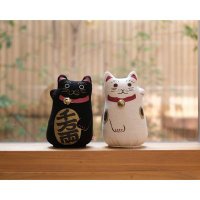 猫丸先生 (@itdn8s1qev36959) 's Twitter Profile