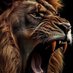 South Fayette Football (@sflionsfb) Twitter profile photo South Fayette Football (@sflionsfb) Twitter profile photo