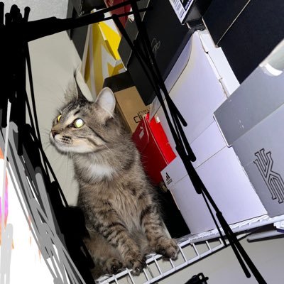 KoltonKunz's profile picture. 21