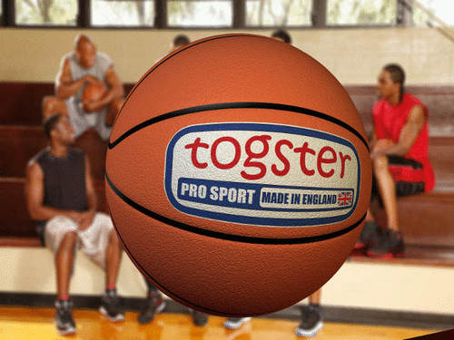 togster37's profile picture. 