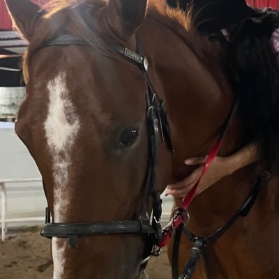 Realha99_'s profile picture. CNE @Uofjeddah