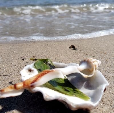 yuuuuuki0521's profile picture. 👋