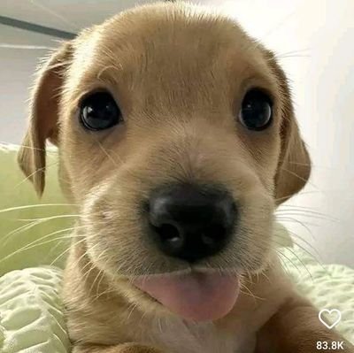 @tapwaterlover