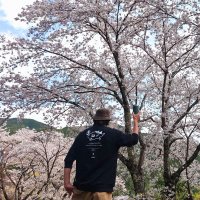 花まるCamp⛺ (@marlboro_hana) 's Twitter Profile