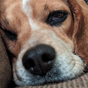 Rhonda Day - @rkday1121 - Twitter