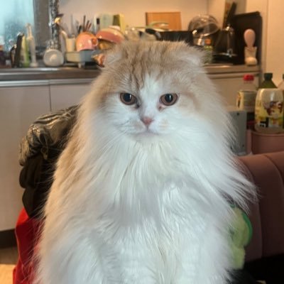 ty__1129's profile picture. 💃