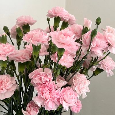 Yangyang1064765's profile picture. 