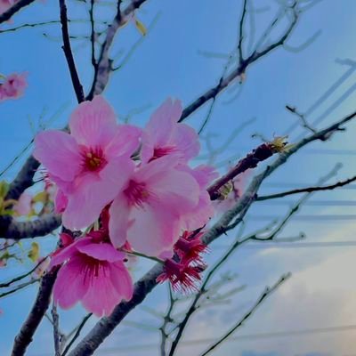 fNf4XM77lXHBMg7's profile picture. 九州住みのアラフィフスト担
きょも寄りの箱推し
樹寄り箱推しの娘と２人で推してます
人生初アイドルのFCへ入会。ミュージカルからSixTONESの沼に
仲良くして頂けると嬉しいです