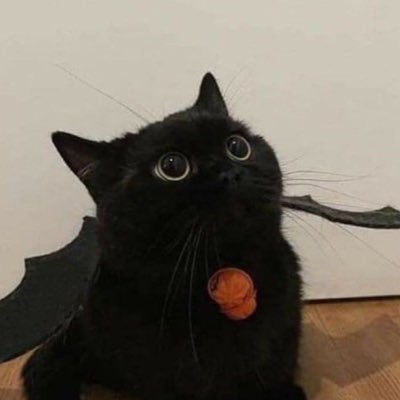 pofuxyd Profile Picture