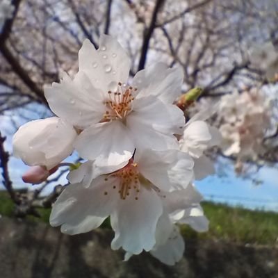 日中は電波が通じないところにいます。
つかrwた
とうらぶ雑記&創作(@Leaf_Note)
https://t.co/beL94SOG78