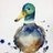 joyneish's profile image
