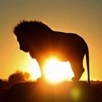 Jay Artigues (@jayartigues) 's Twitter Profile Photo Jay Artigues (@jayartigues) 's Twitter Profile Photo