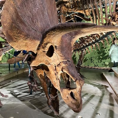 LisaFische39703's profile picture. 