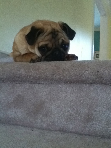 TDTrev's profile picture. 