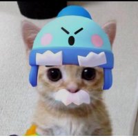 いんこ (@rtjq7bqrkd31990) 's Twitter Profile