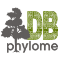 phylomedb (@phylomedb) 's Twitter Profile Photo phylomedb (@phylomedb) 's Twitter Profile Photo
