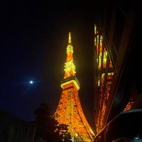 日本一暇な女風セラピスト (@himaserapi) 's Twitter Profile