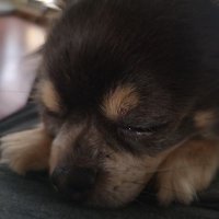 NonSto :P トレマン (@ryuji_nonstop) 's Twitter Profile