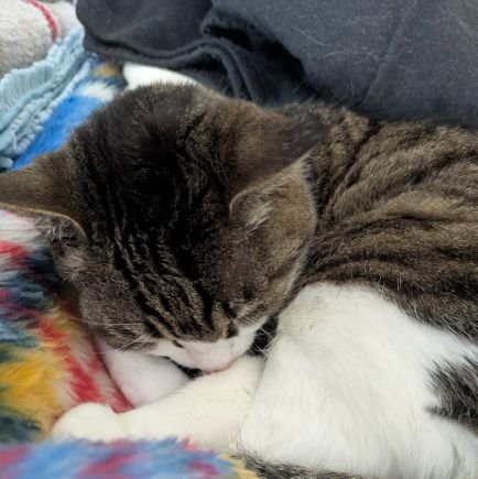 nana (@nana_0229) / Posts / X