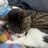 nana_0229's profile image