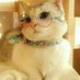 kiran (@kiranview) Twitter profile photo kiran (@kiranview) Twitter profile photo