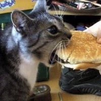those who kmow (@mewhename) 's Twitter Profile