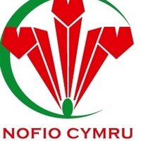 Para-Swim Wales (@swdisability) 's Twitter Profile