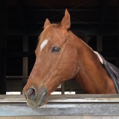 hat_poppo's profile picture. Nitech cs B1