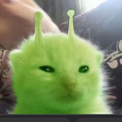 SanPararegi's profile picture. OwO UwU OvO UvU