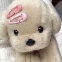ʚ vivi ɞ (@bunpupsdiary) 's Twitter Profile Photo ʚ vivi ɞ (@bunpupsdiary) 's Twitter Profile Photo