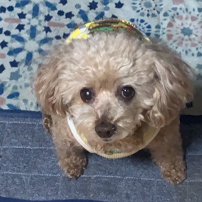 tyx2Pu6gac92712's profile picture. 