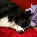 Audrey Morgan - @AudreyMorg31648 - Twitter