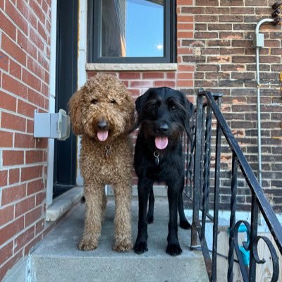 joshrosie91's profile picture. Landscape Designer | Habs Fan | Jays Fan