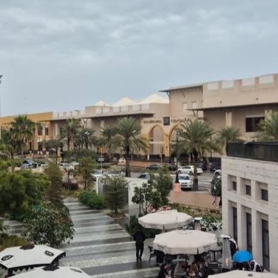 mo_soltin's profile picture. .