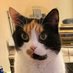 Pickwick Papers (@1815pickwick) Twitter profile photo Pickwick Papers (@1815pickwick) Twitter profile photo