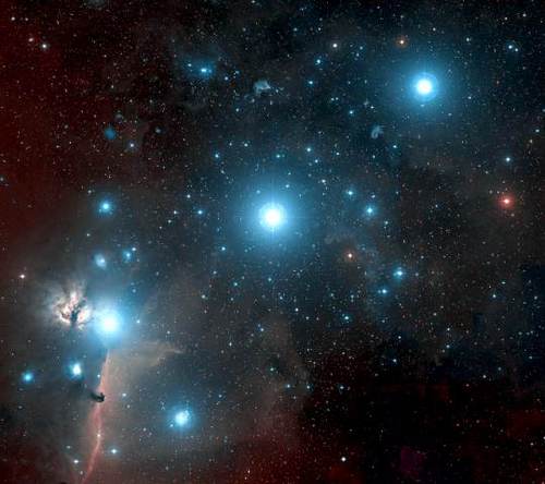 Collectif des objets cosmiques classifiés sous l'appellation étoile : naines, géantes, variables, à neutron, pulsars, etc. WE ARE THE STARS OF THE UNIVERSE.