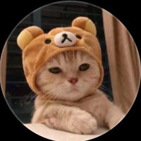 futte (@andreasguldbra3) 's Twitter Profile