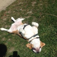 harry (@bucolic_comrade) 's Twitter Profile Photo harry (@bucolic_comrade) 's Twitter Profile Photo
