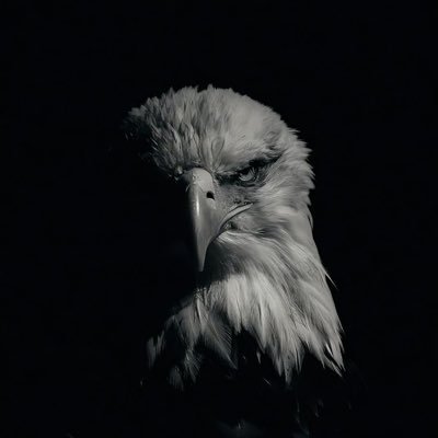 ImmzMan's profile picture. Peace, Love and Success