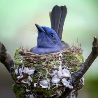 AMAZING NATURE! π³π
π¦ (@joseivan_56) 's Twitter Profile